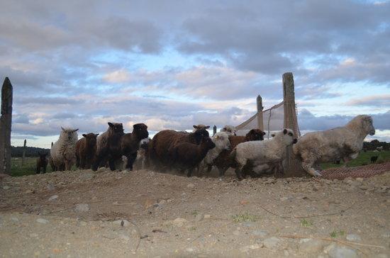 Agroturismo Archipielago