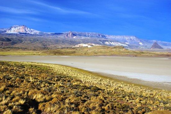Inside Patagonia